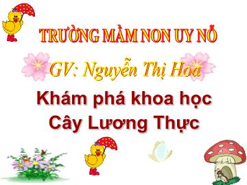 Bài giảng Mầm non Lớp 5 tuổi - Khám phá khoa học: Cây lương thực - Nguyễn Thị Hoa