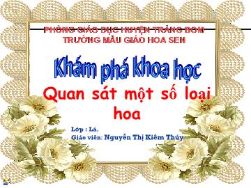 Bài giảng Mầm non Lớp 5 tuổi - Quan sát một số loại hoa - Nguyễn Thị Kim Thúy