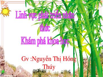Bài giảng Mầm non Lớp 4 tuổi - Động vật sống trong rừng - Nguyễn Thị Hồng Thúy