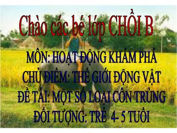 Bài giảng Mầm non Lớp 4 tuổi - Chủ điểm: Thế giới động vật - Đề tài: Một số loại côn trùng