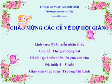 Bài giảng Mầm non Lớp 4 tuổi - Chủ đề: Thế giới động vật - Đề tài: Quá trình lớn lên của con rùa - Trương Thị Linh