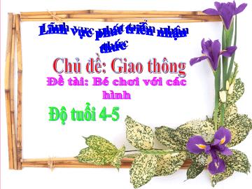 Bài giảng Mầm non Lớp 4 tuổi - Chủ đề: Giao thông - Đề tài: Bé chơi với các hình