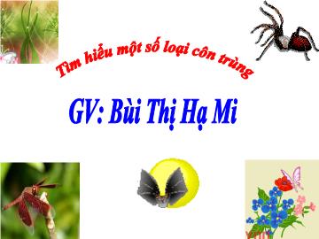 Bài giảng Mầm non Lớp 4 tuổi - Tìm hiểu một số loại côn trùng - Bùi Thị Hạ Mi