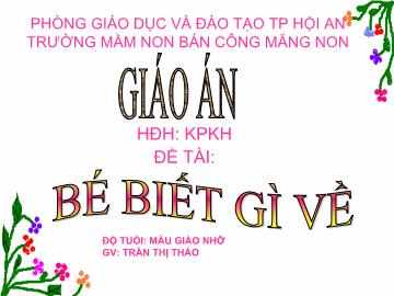 Bài giảng Mần non lớp lá - Bé biết gì về hoa hồng - Hoa cúc