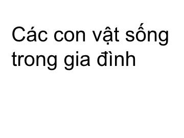 Bài giảng Mần non lớp lá - Các con vật sống trong gia đình