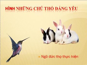 Bài giảng Mần non lớp lá - Hình những chú thỏ đáng yêu