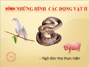 Bài giảng Mần non lớp lá - Hình những hình các động vật ii