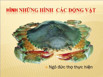 Bài giảng Mần non lớp lá - Hình những hình các động vật