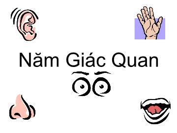 Bài giảng Mần non lớp lá - Năm giác quan