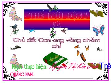 Bài giảng Mầm non lớp lá - Chủ đề: Con ong vàng chăm chỉ