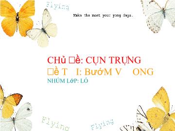 Bài giảng Mầm non lớp lá - Chủ đề: Côn trùng - Đề tài: Bướm và ong