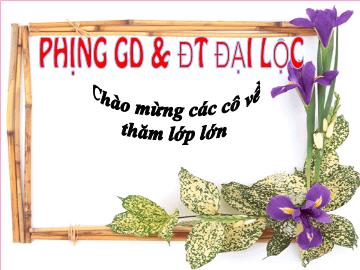 Bài giảng Mầm non lớp lá - Chủ đề nhánh: Cây hoa ngày tết - Đề tài: Hoa mai