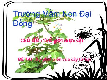 Bài giảng Mầm non lớp lá - Chủ đề: Thế giới thực vật - Đề tài: Sự phát triển của cây từ hạt