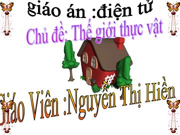 Bài giảng Mầm non lớp lá - Chủ đề: Thế giới thực vật