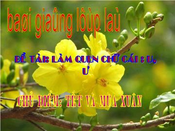 Bài giảng Mầm non lớp lá - Đề tài: Làm quen chữ cái: u, ư