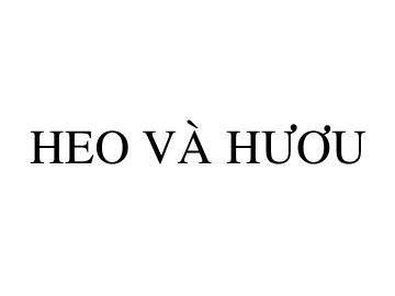 Bài giảng mầm non lớp lá - Heo và hươu