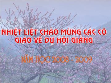 Bài giảng Mầm non lớp lá - Làm quen chữ cái m - N - l - Chủ điểm tết và mùa xuân