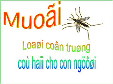 Bài giảng mầm non lớp lá - Muỗi - Loài côn trùng có hại cho con người