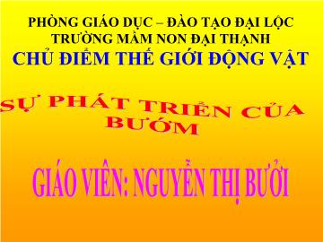 Bài giảng Mầm non lớp lá - Sự phát triển của bướm