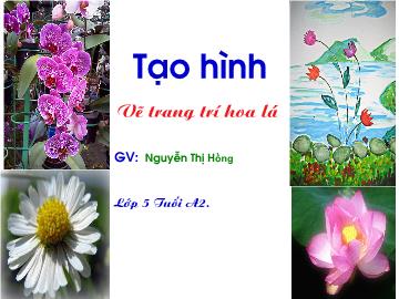 Bài giảng Mầm non lớp lá - Tạo hình: Vẽ trang trí hoa lá