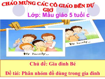 Bài giảng Lớp Lá - Chủ đề: Gia đình Bé - Đề tài: Phân nhóm đồ dùng trong gia đình