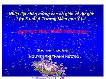 Bài giảng Lớp Lá - Lĩnh vực phát triển nhận thức - Hoạt động: phân nhóm phương tiện giao thông