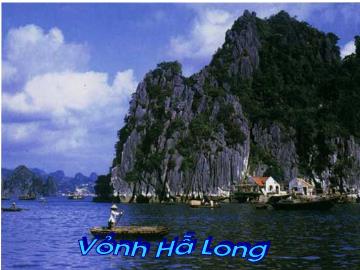 Bài giảng lớp Lá - Phong cảnh Việt Nam